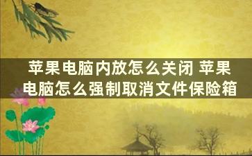 苹果电脑内放怎么关闭 苹果电脑怎么强制取消文件保险箱